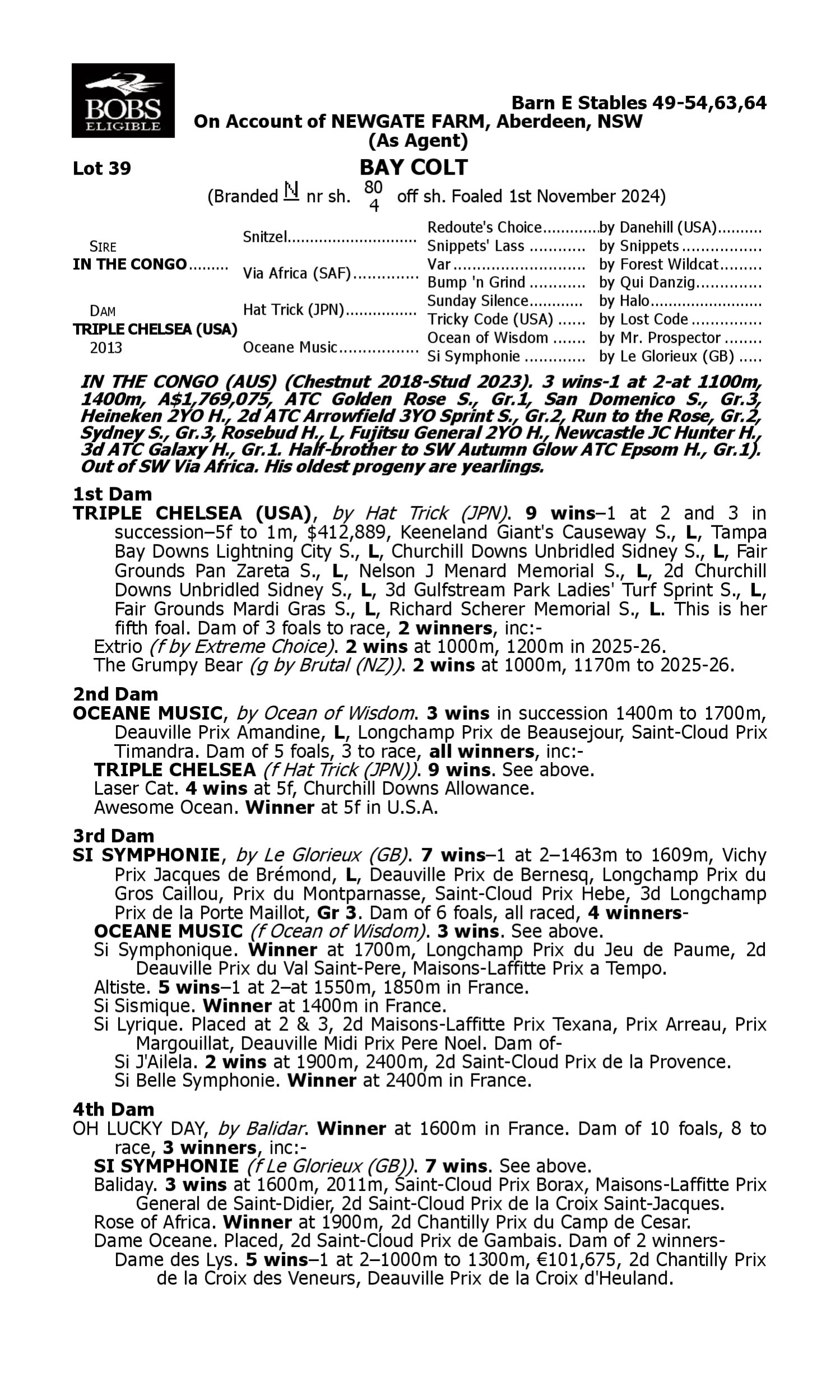 Pedigree for Lot 39 In the Congo - Triple Chelsea (USA)