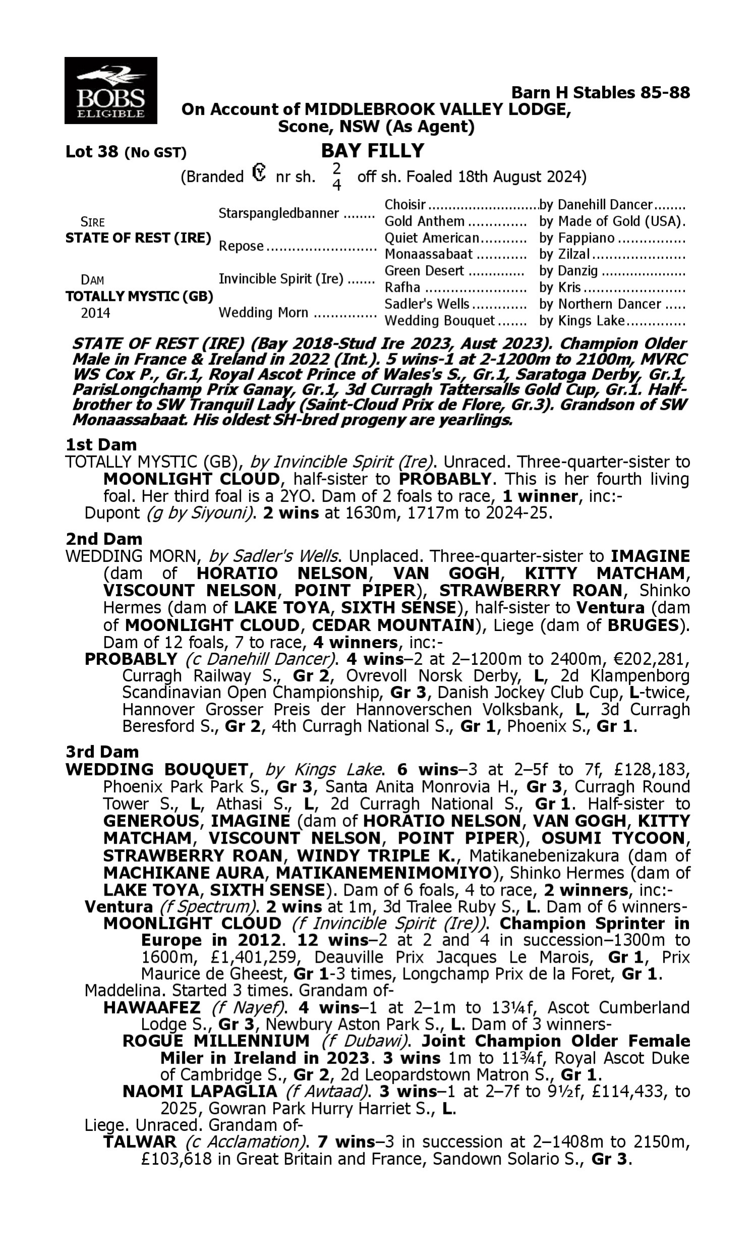Pedigree for Lot 38 State of Rest (IRE) - Totally Mystic (GB)