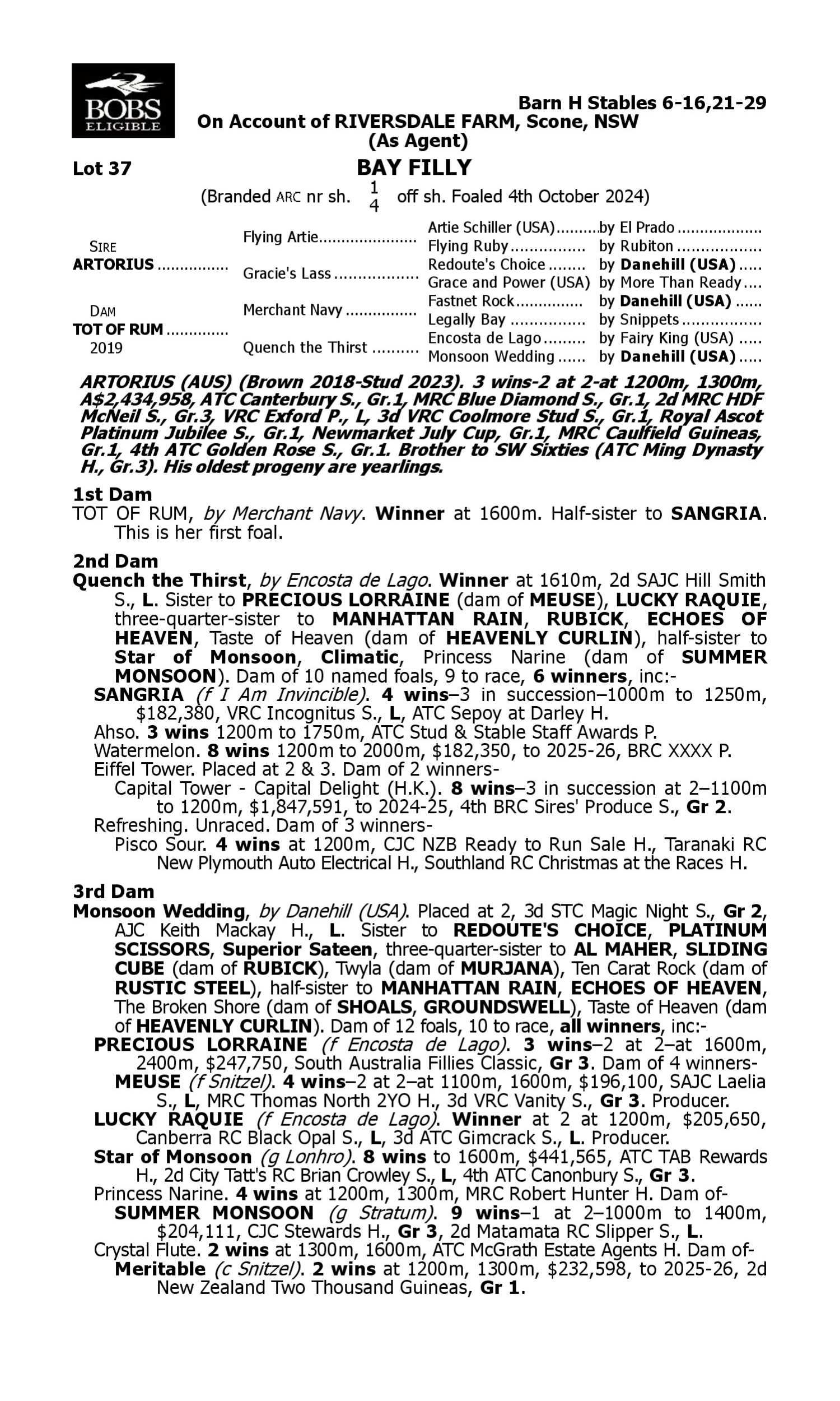 Pedigree for Lot 37 Artorius - Tot of Rum