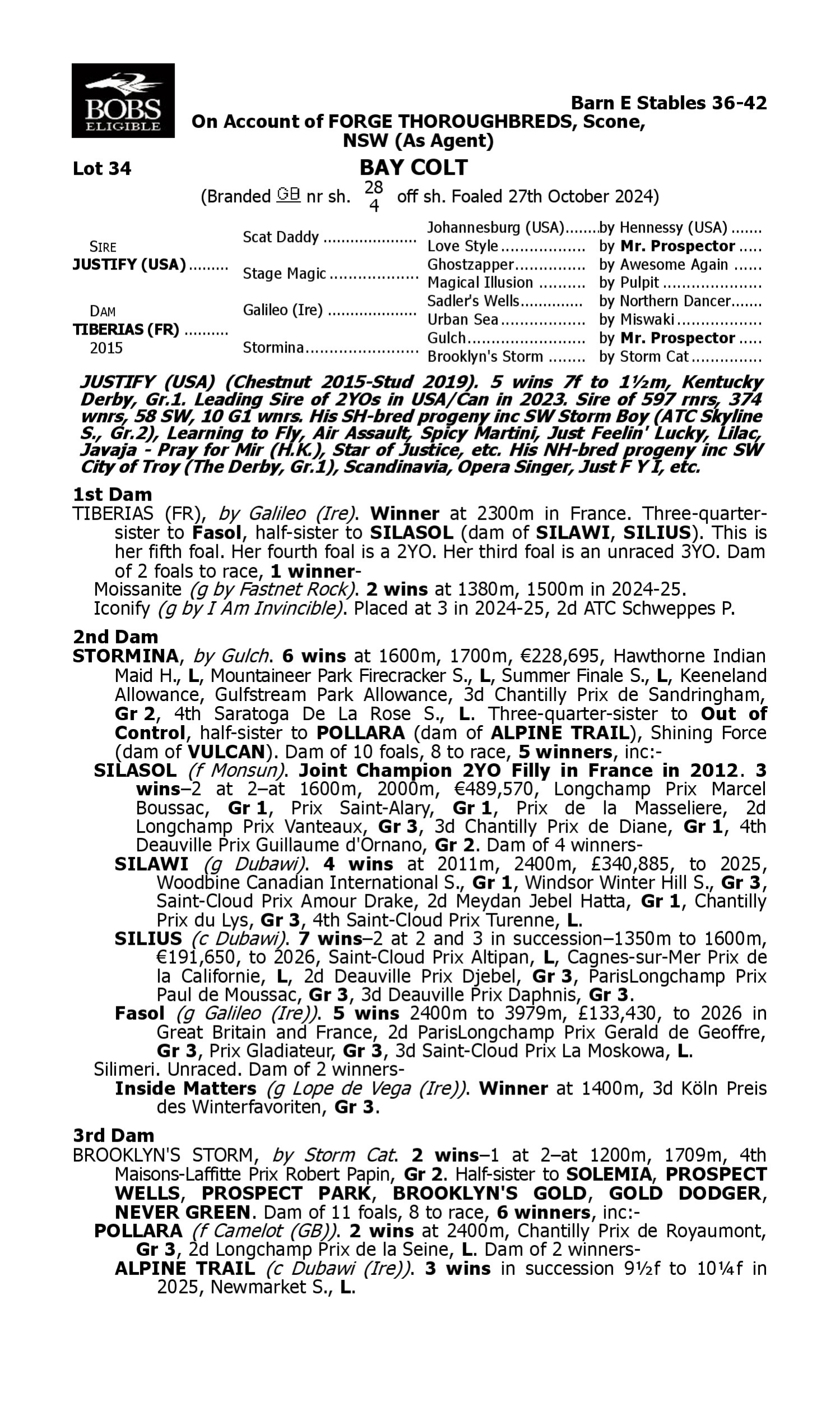 Pedigree for Lot 34 Justify (USA) - Tiberias (FR)