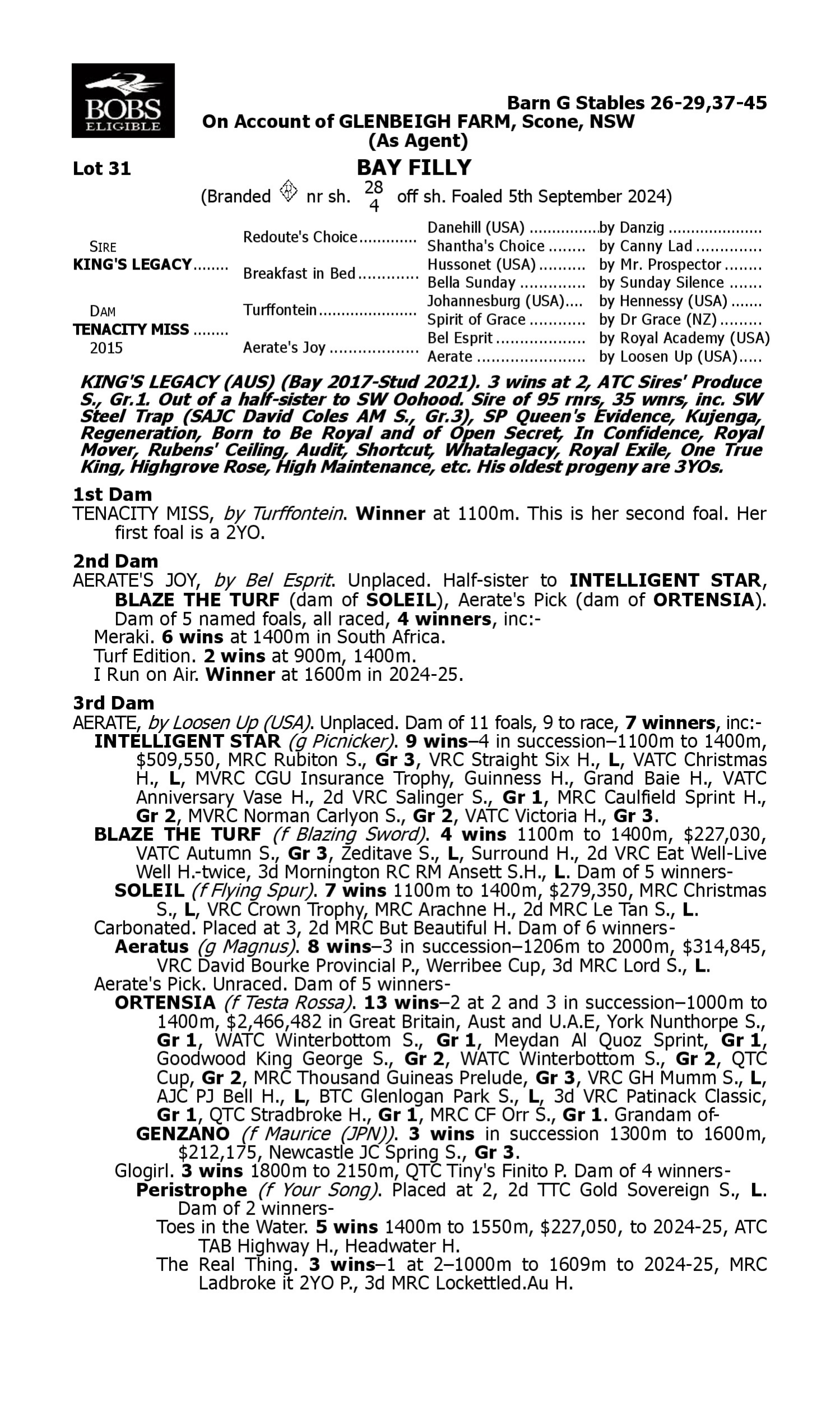 Pedigree for Lot 31 King's Legacy - Tenacity Miss