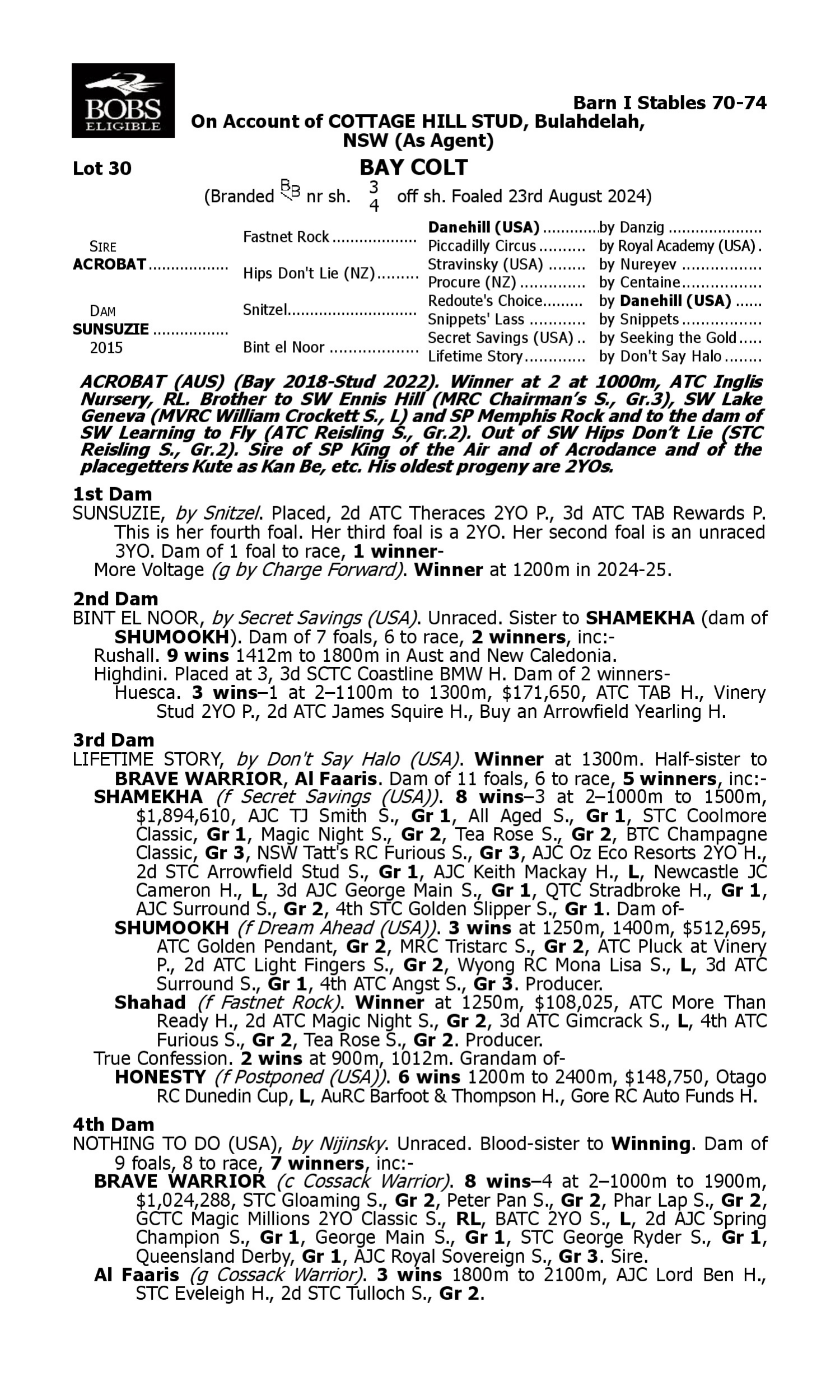 Pedigree for Lot 30 Acrobat - Sunsuzie