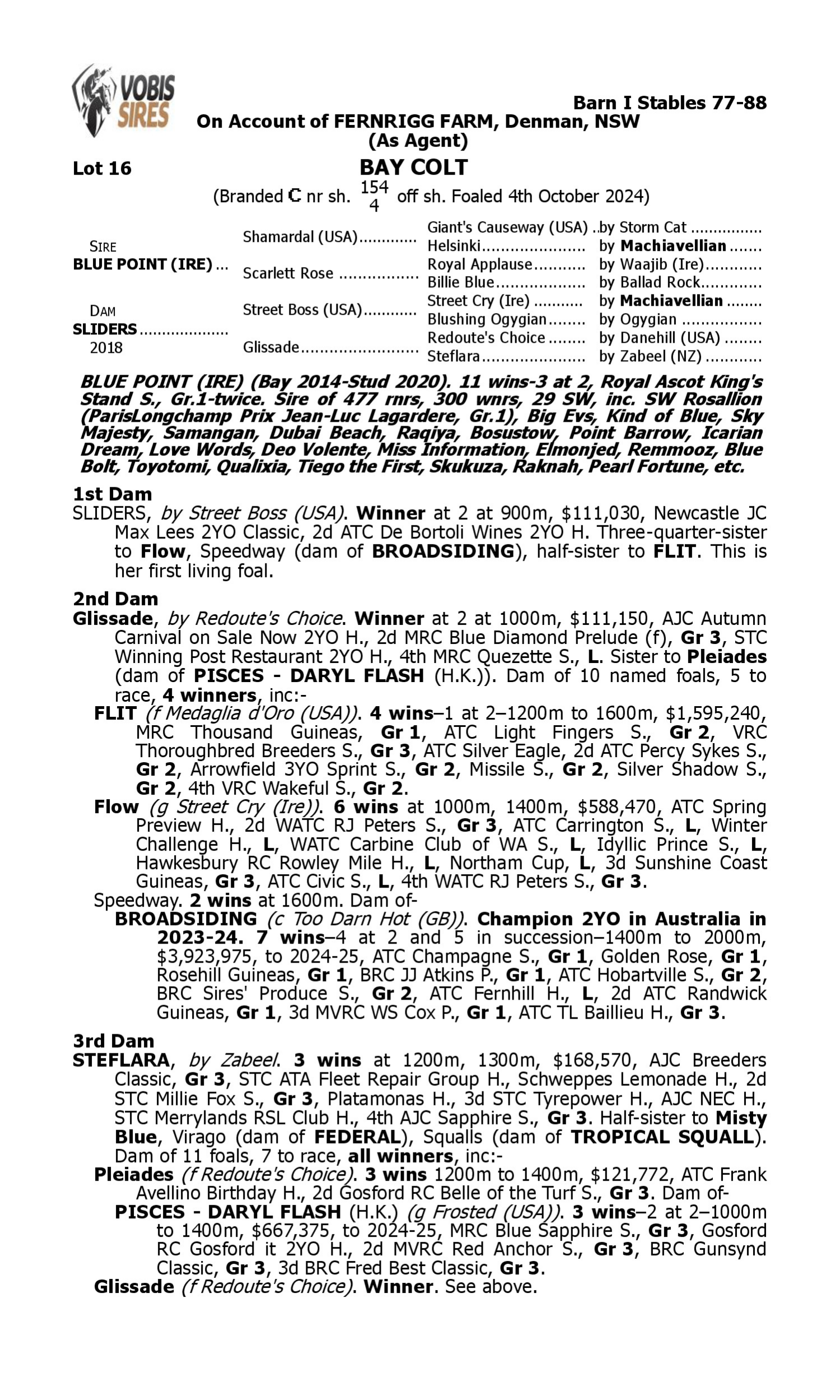 Pedigree for Lot 16 Blue Point (IRE) - Sliders