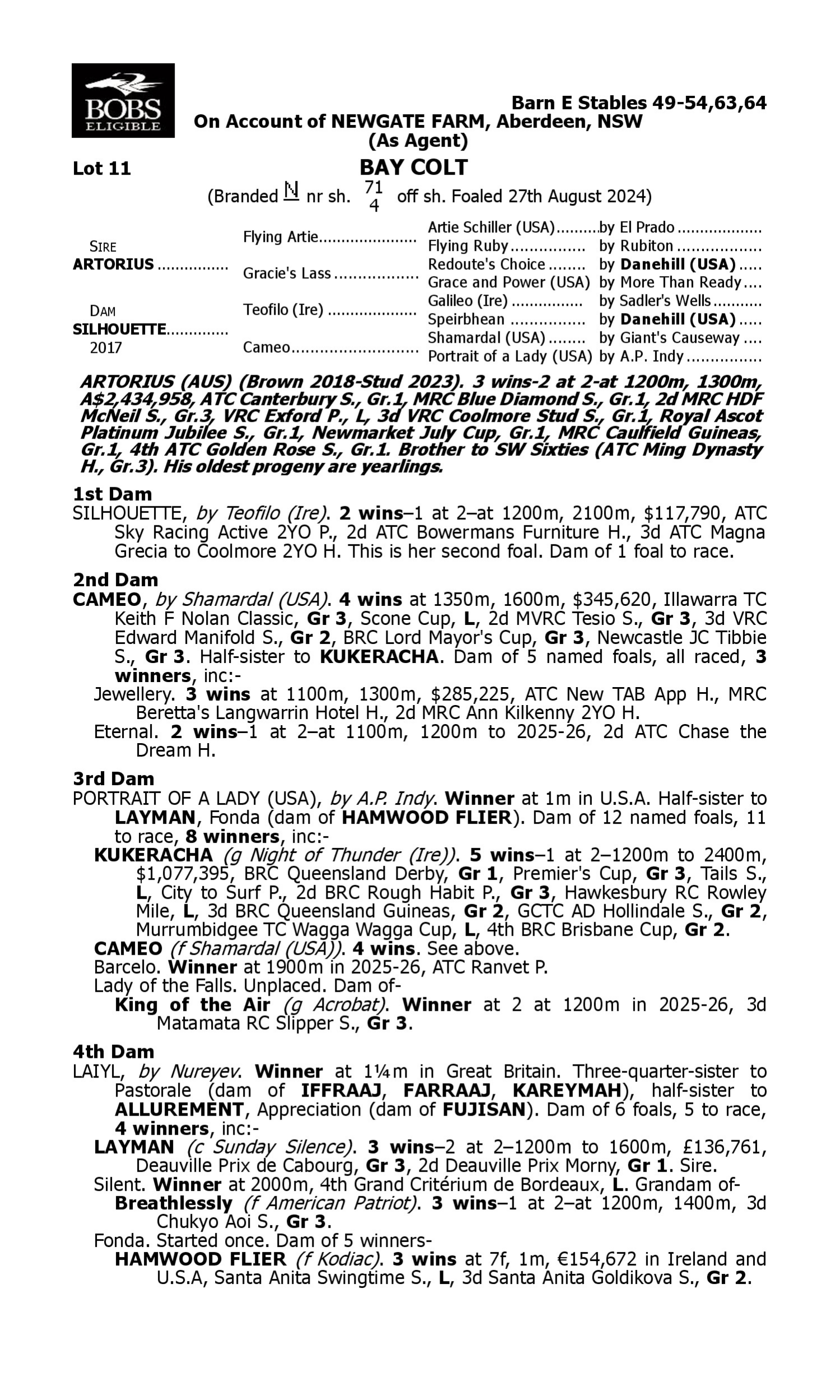 Pedigree for Lot 11 Artorius - Silhouette