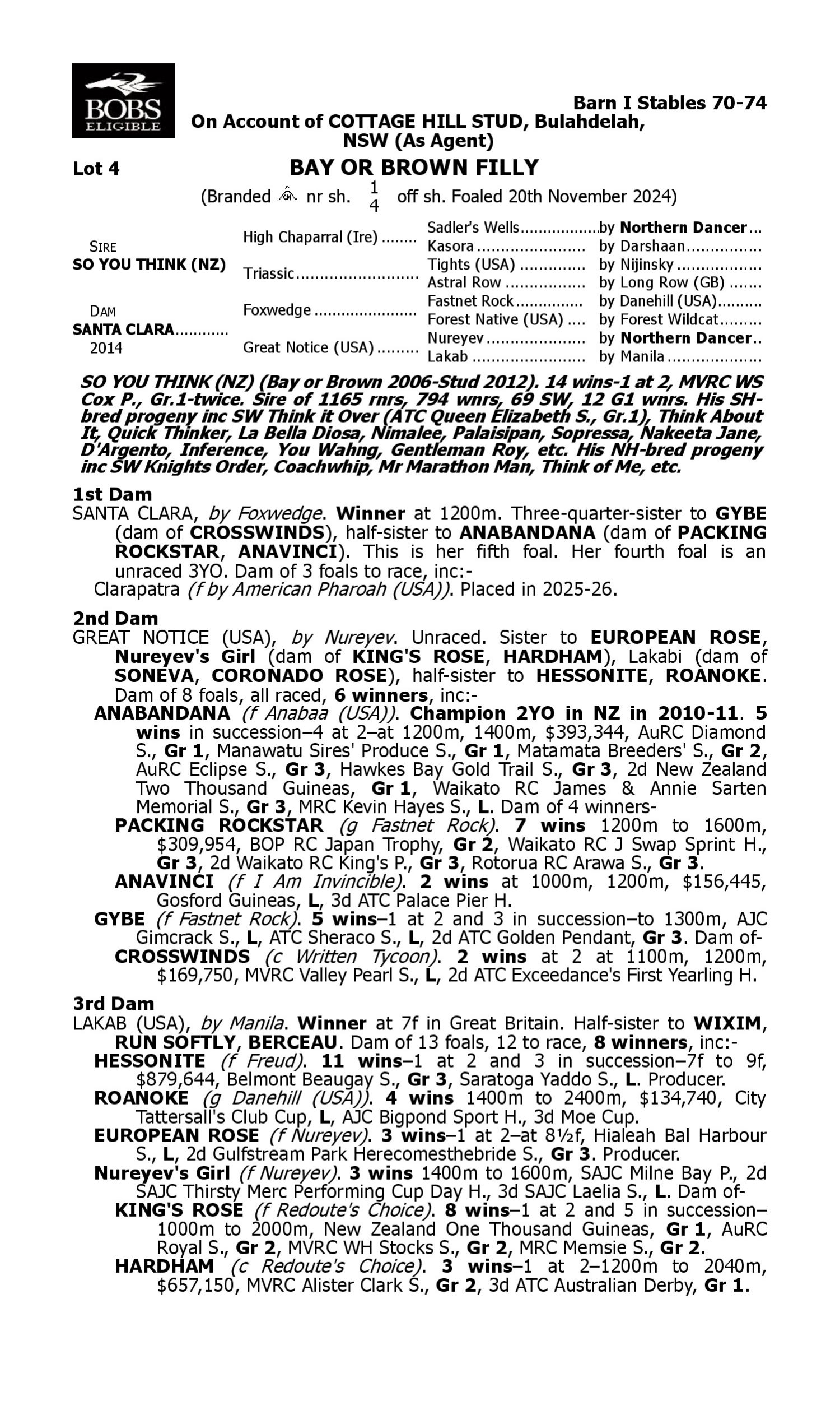 Pedigree for Lot 4 So You Think (NZ) - Santa Clara