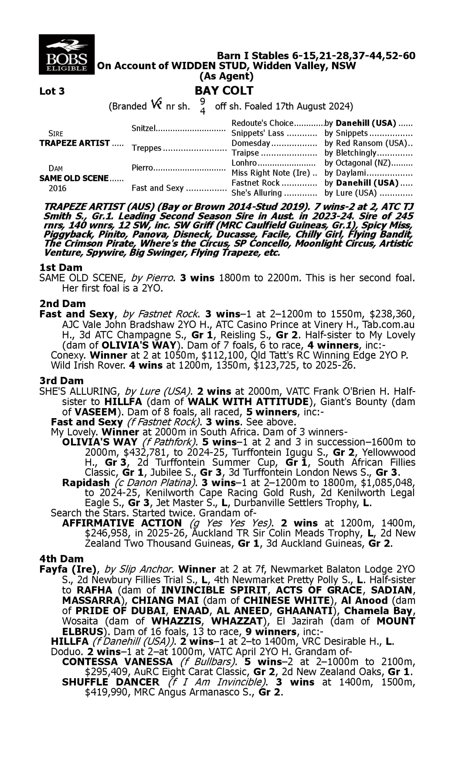 Pedigree for Lot 3 Trapeze Artist - Same Old Scene