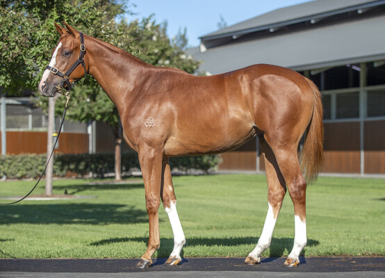 Lot 93: The Autumn Sun / Sierra (JPN)