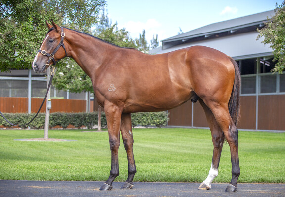 Lot 397: Maurice (JPN) / Love is Fickle