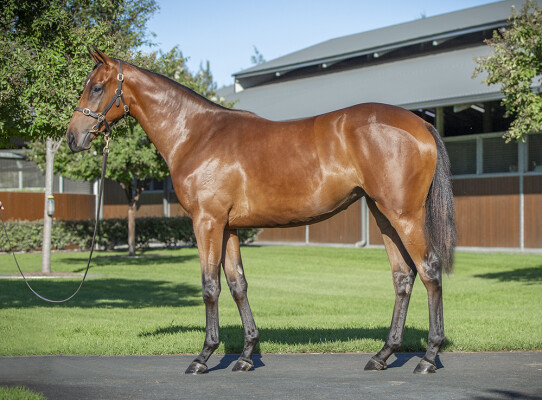 Lot 413: I Am Invincible / Maid of Heaven