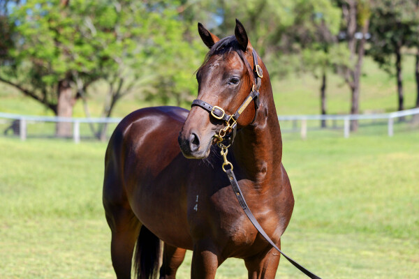 Lot 359: St Mark's Basilica (FR) / Jamita