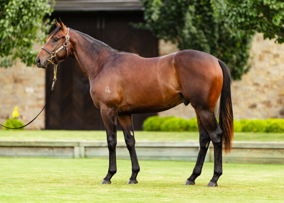 Lot 150: I Am Invincible / Threeood