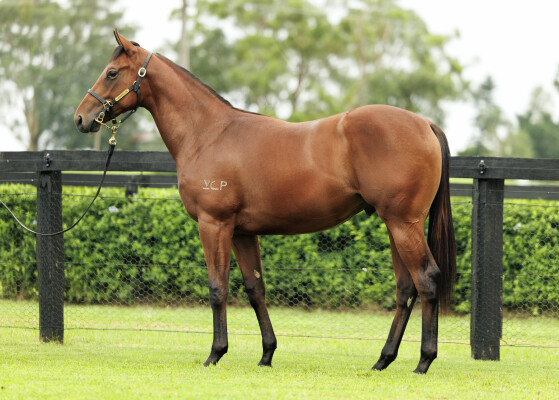 Lot 268: Farnan / Devil in Her Heart