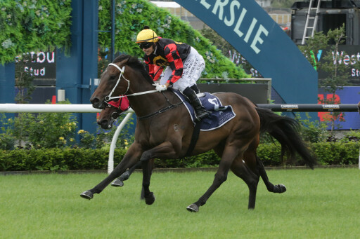 Triple G1-winning mare confirmed for Chairman's