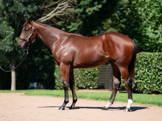 Lot 153: I Am Invincible / Time Awaits