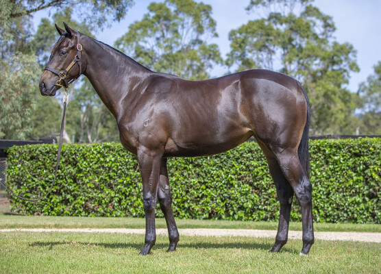 Lot 48: Hellbent / Rose of Mulan