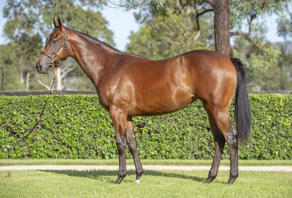 Lot 125: I Am Invincible / Sugar Hill