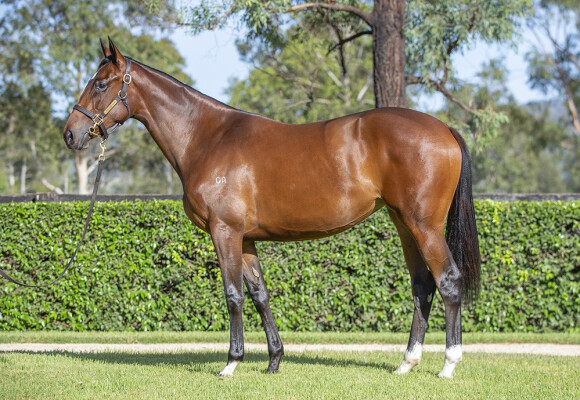 Lot 358: Wootton Bassett (GB) / Jadeerah (GB)