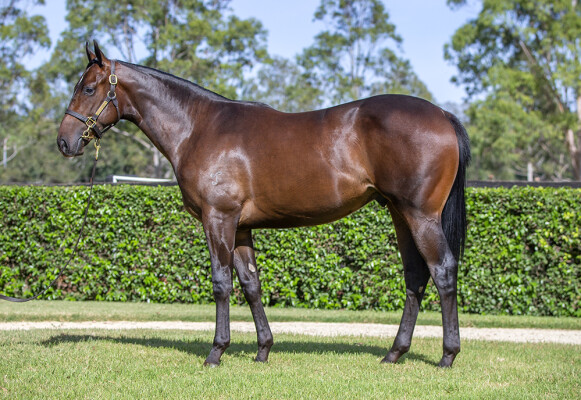 Lot 361: Wootton Bassett (GB) / Jazette