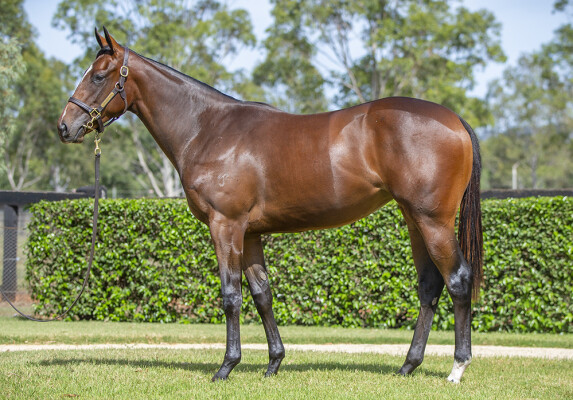 Lot 423: Hellbent / Melisende