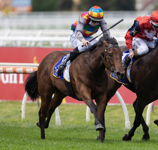 “Precious” Extreme Choice pregnancy added to Chairman's Sale