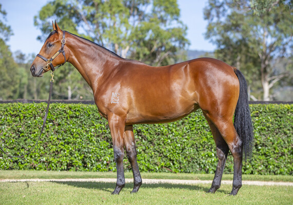 Lot 45: I Am Invincible / Ripper Rita