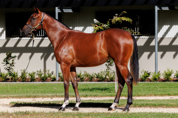 Lot 82: Exceed and Excel / Serena Bay