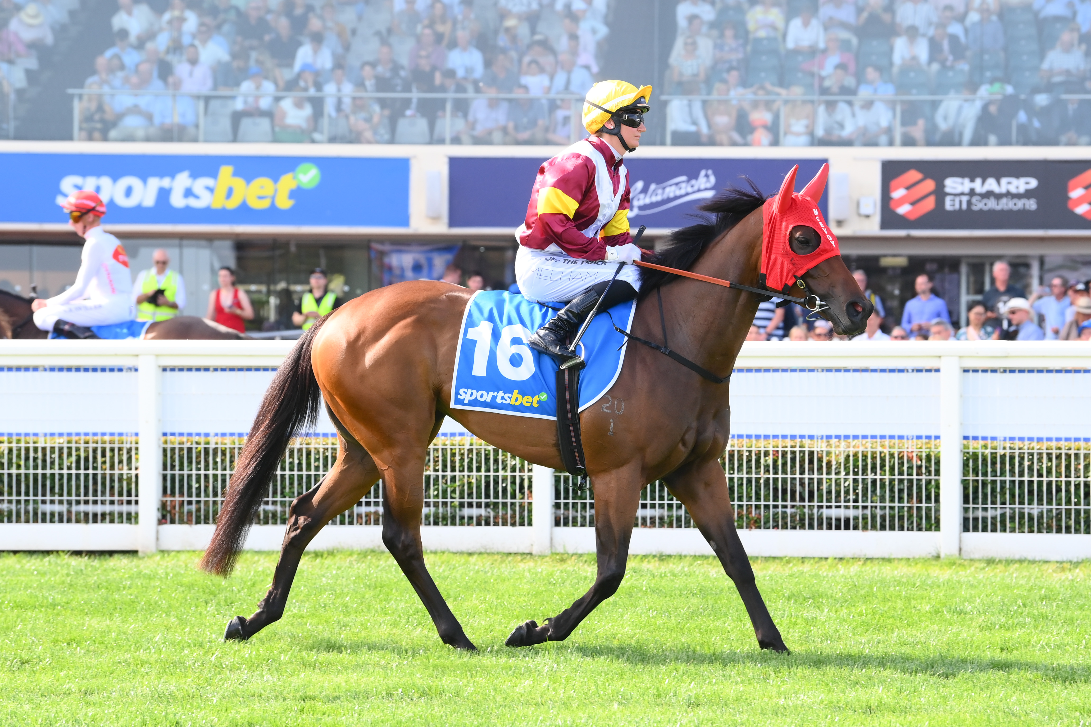 Another G1 mare confirmed for The Chairman's Sale
