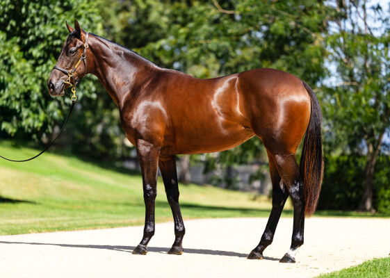 Lot 14: I Am Invincible / Peace Time (USA)