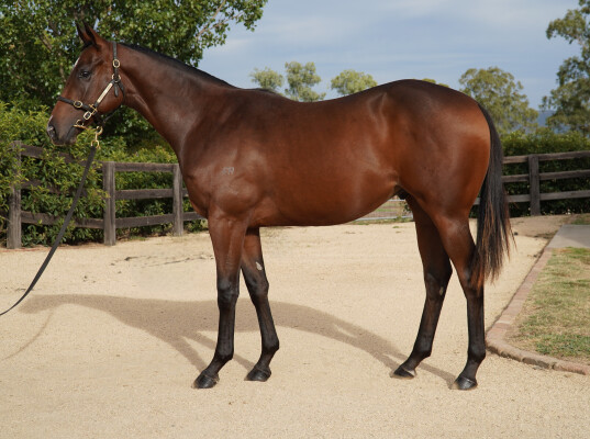 Lot 333: Too Darn Hot (GB) / Good and Proper