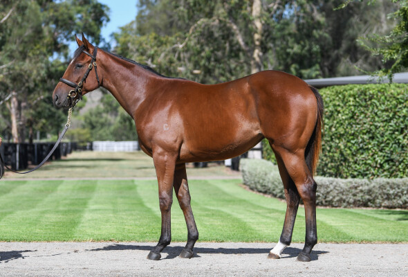 Lot 1: Home Affairs / O'Marilyn