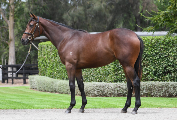 Lot 15: I Am Invincible / Personal