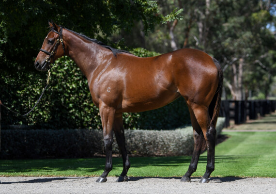 Lot 320: I Am Invincible / Formality