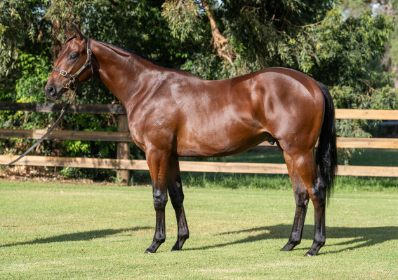 Lot 49: I Am Invincible / Roselyne (FR)