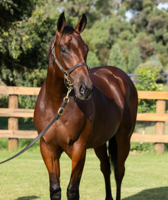 Lot 49: I Am Invincible / Roselyne (FR)