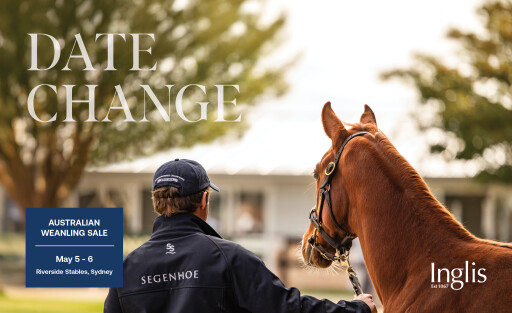 Inglis Digital Australian Broodmare Sale Sessions Announced, update to Australian Weanling Sale