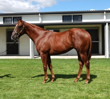 Lot 239: Stay Inside / Bring Me Showers