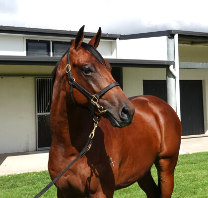 Lot 374: Too Darn Hot (GB) / La Magique