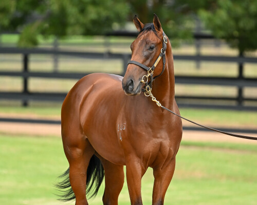 Lot 188: I Am Invincible / Witherspoon