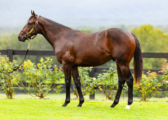 Lot 270: Wootton Bassett (GB) / Diamonds