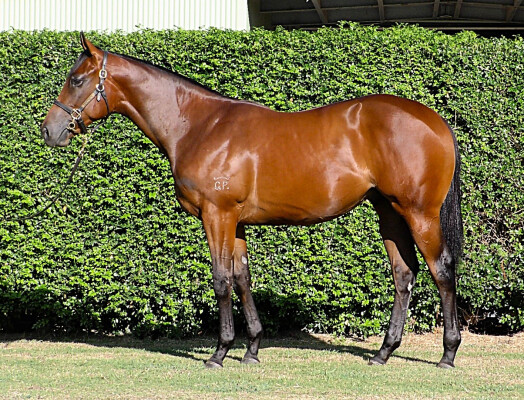 Lot 131: I Am Invincible / Super Too