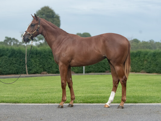 Lot 220: Written Tycoon / Aquagirl
