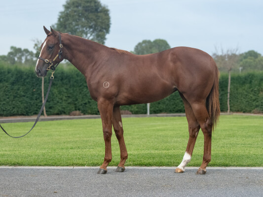 Lot 233: Written Tycoon / Bonnie No Clyde