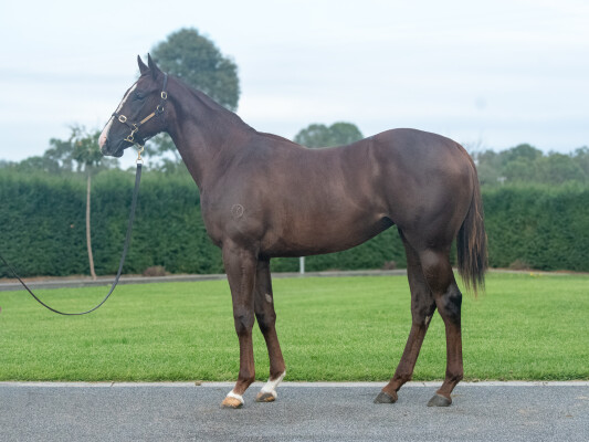 Lot 300: Written Tycoon / Exsqueeze Me