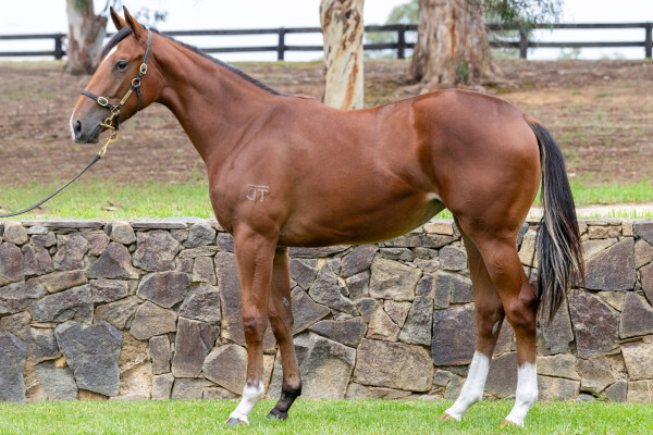 Lot 183: Home Affairs / Wednesday (GB)