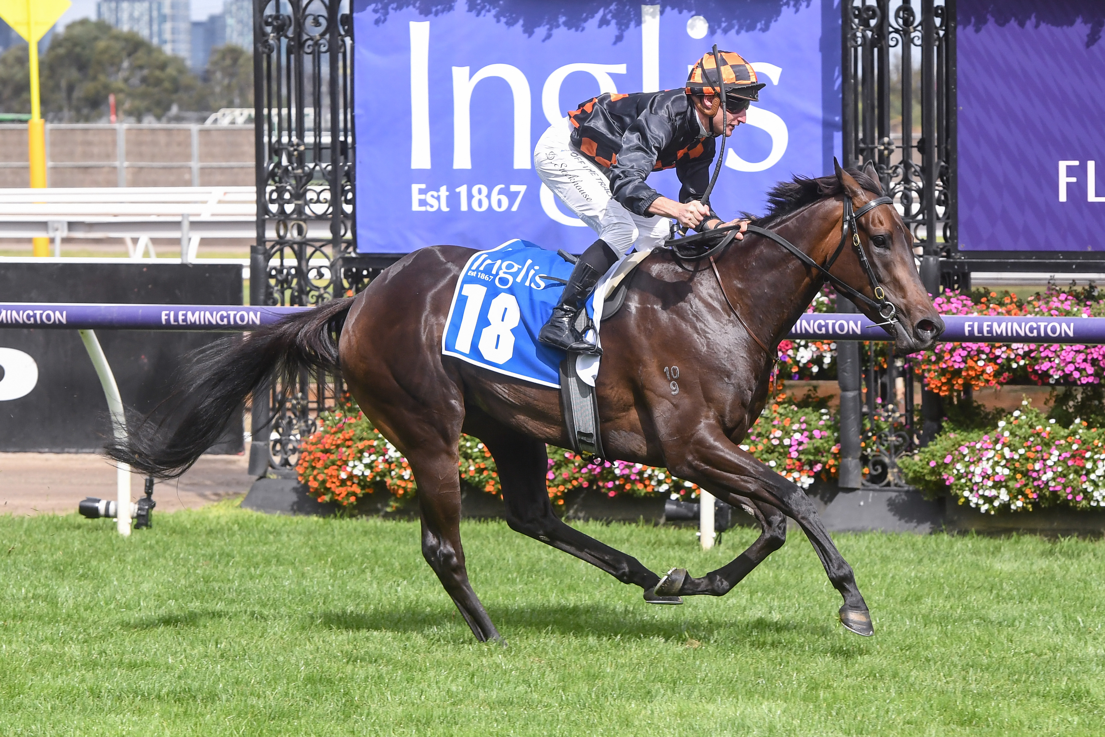 Benedetta the latest star confirmed for The Chairman's Sale