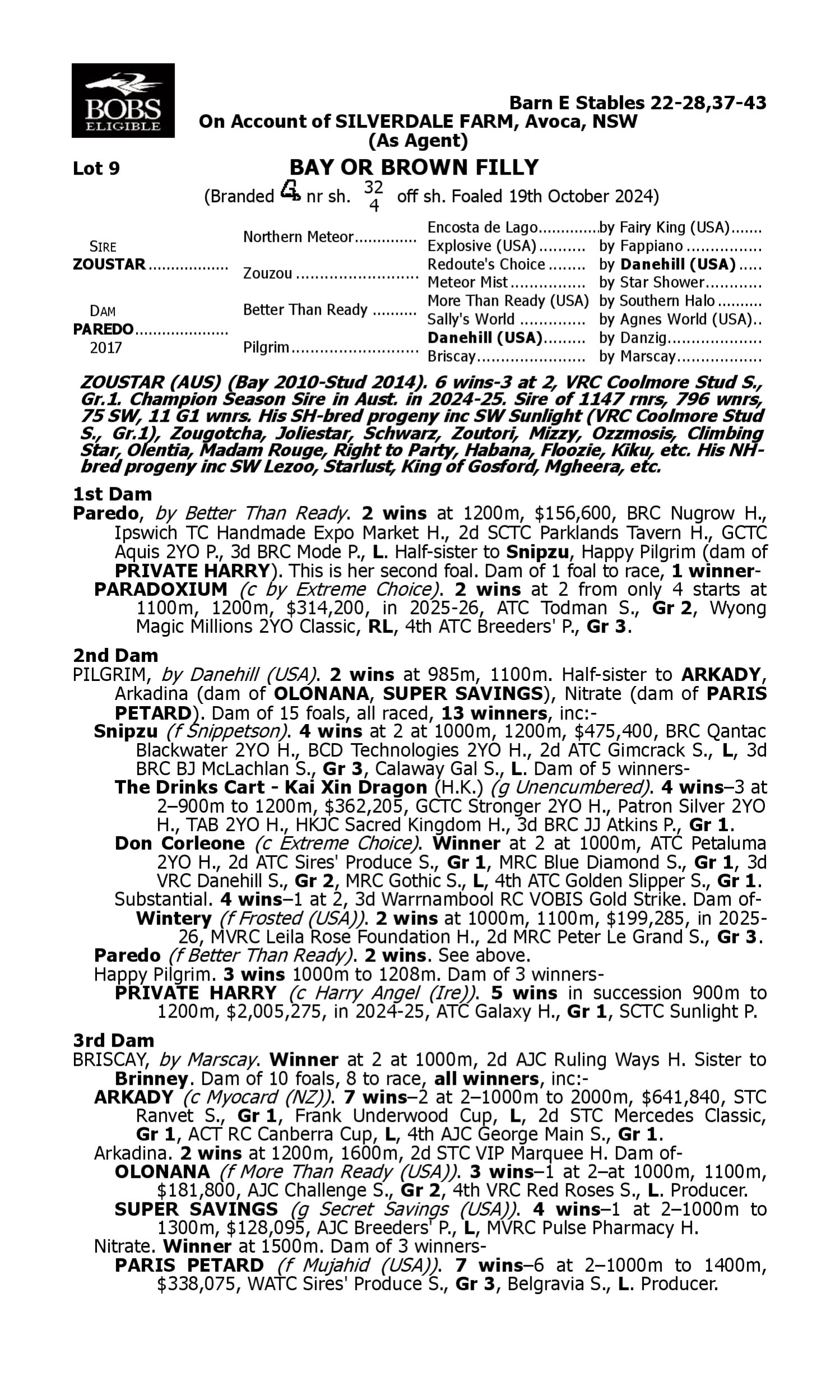 Pedigree for Lot 9 Zoustar - Paredo