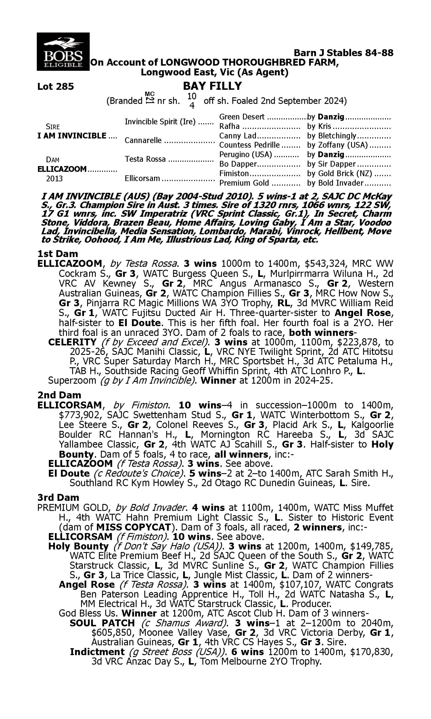 Pedigree for Lot 285 I Am Invincible - Ellicazoom