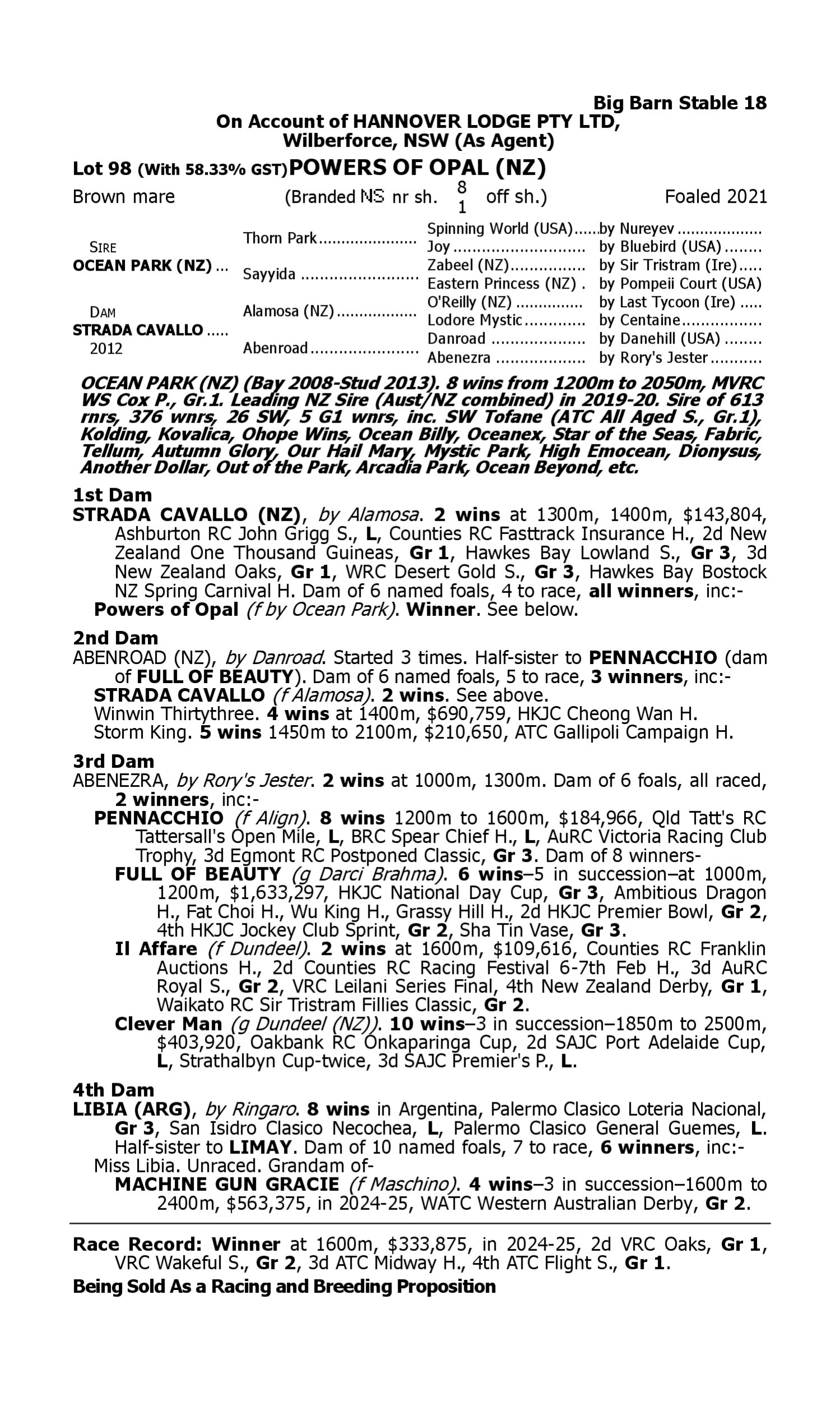 Pedigree for Lot 98 Ocean Park (NZ) - Strada Cavallo (NZ)