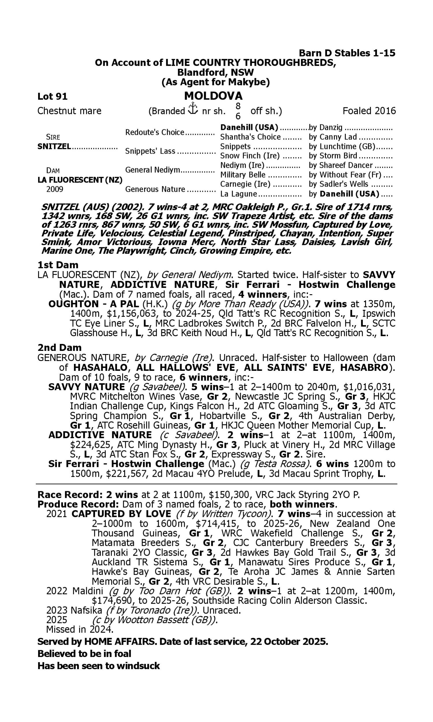 Pedigree for Lot 91 Snitzel - La Fluorescent (NZ)