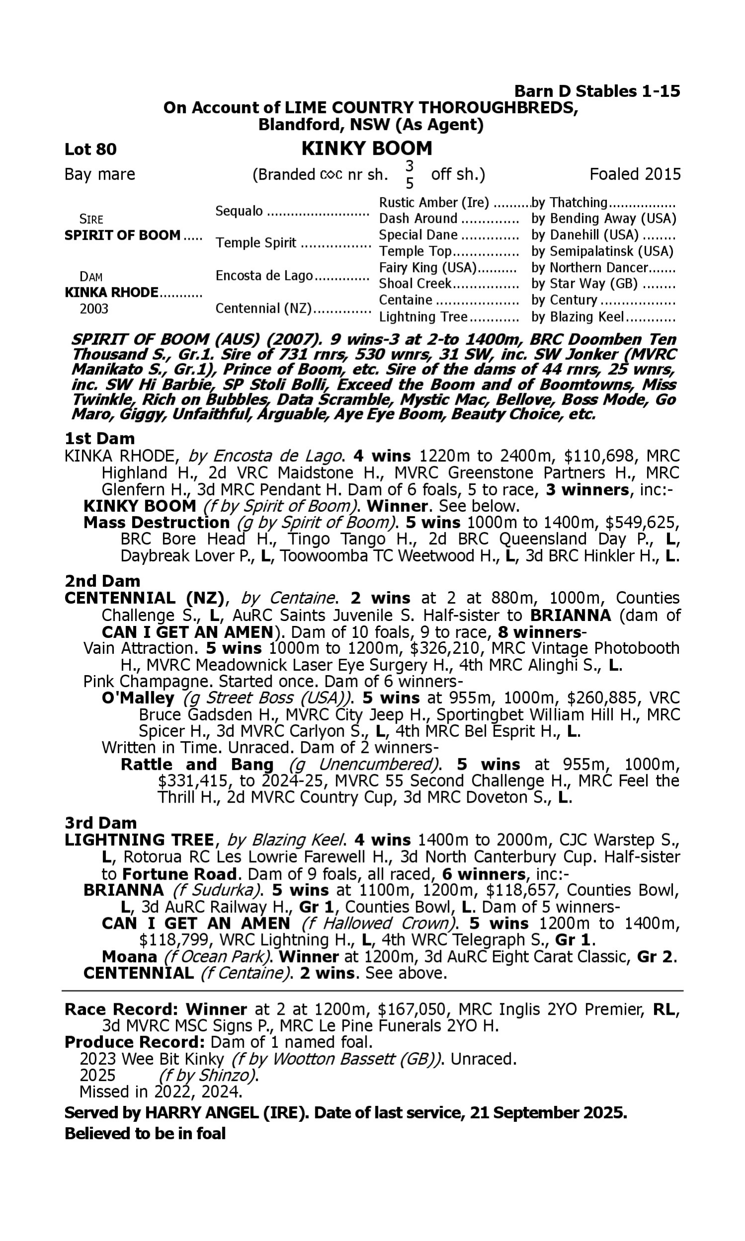 Pedigree for Lot 80 Spirit of Boom - Kinka Rhode